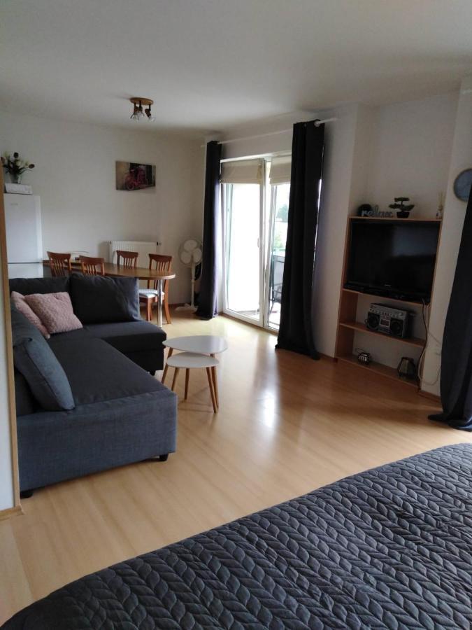 Apartment Archa Podebrady Bagian luar foto